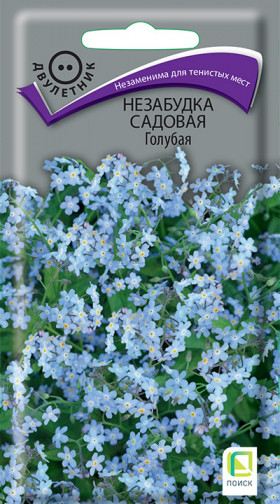 Садовая Голубая Ц(Поиск)