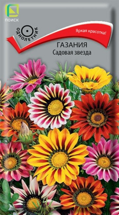 Садовая звезда Ц(Поиск)