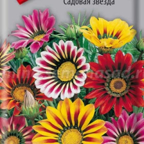 Садовая звезда Ц(Поиск)