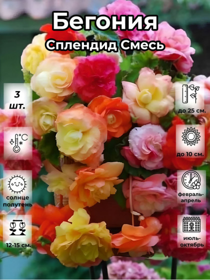 Сплендид смесь 3шт