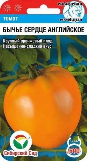 Бычье сердце английское СС