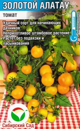 Золотой Алатау СС