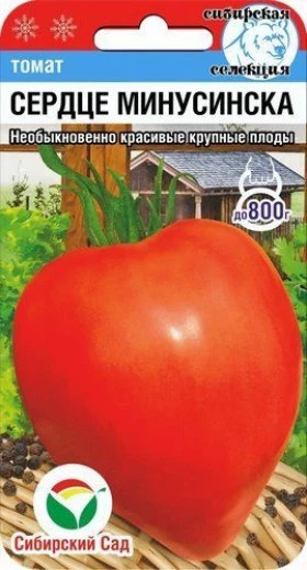Сердце Минусинска СС