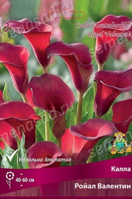 Ройал Валентин 2шт Поиск