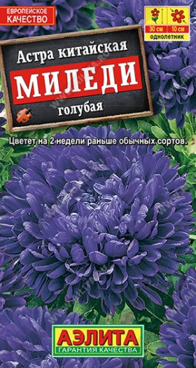 Миледи голубая Ц(А)