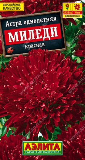 Миледи красная Ц(А)