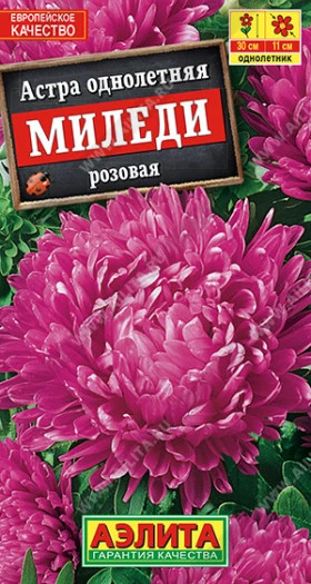 Миледи розовая Ц(А)