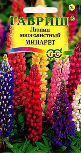 Минарет Ц(Г)