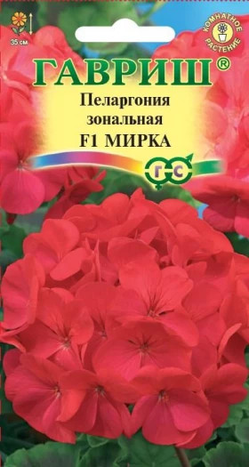 Мирка Ц(Г)