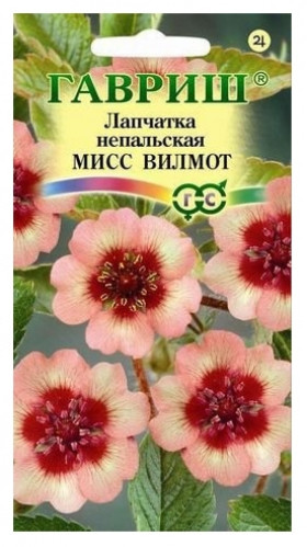 Мисс Вильмот непальская Ц(Г)