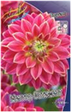 Мистер Оптимист\1шт