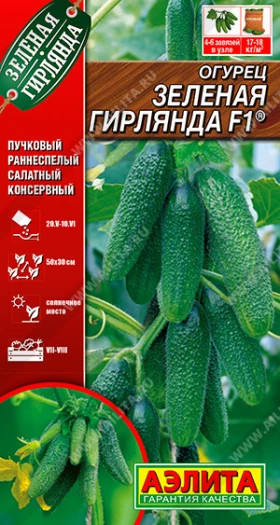 Зеленая гирлянда Ц(А)