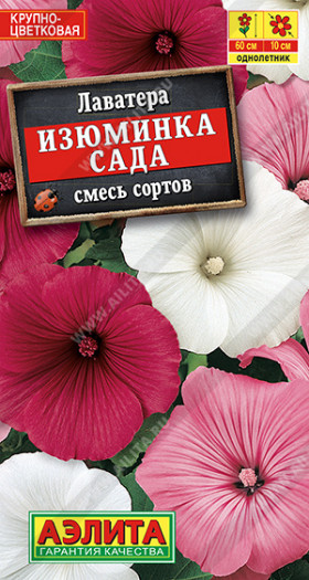 Изюминка сада Ц(А)