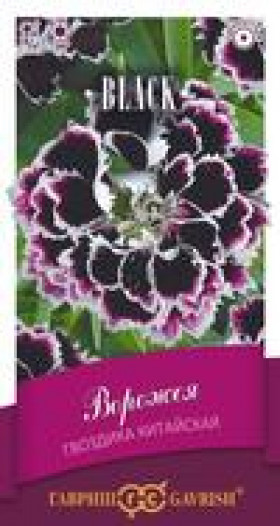 Ворожея китайская Ц(Г)