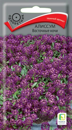 Восточные ночи 0,3 гр.Ц(Поиск)