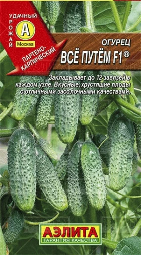 Все путем Ц(А)