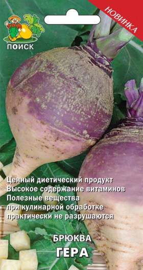 Гера Ц(Поиск)