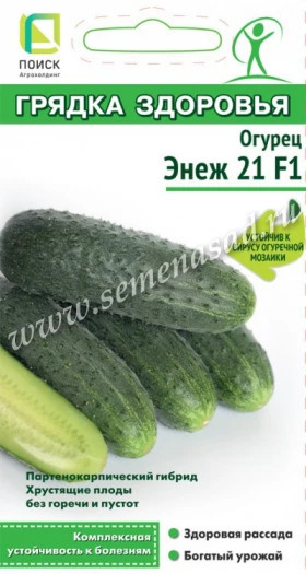 Энеж Ц(Поиск)