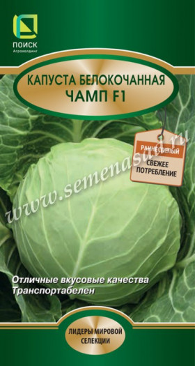 Чамп Ц(Поиск)