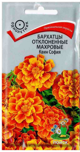 Квин София махр откл Ц(Поиск)