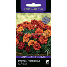 Файрбол откл Ц(Поиск)