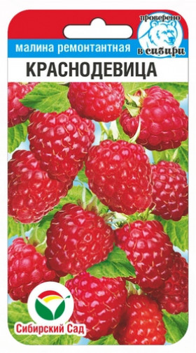 малина Краснодевица 10шт СС