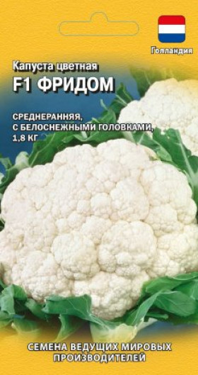 цветная Фридом Ц(Г)