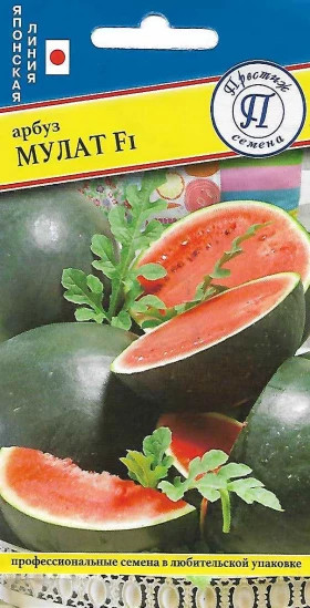 Мулат 3шт Ц(П)