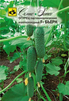 Бьерн F1 (Семко) НОВИНКА