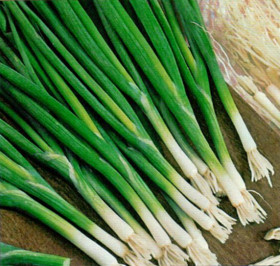 на перо Перфомер 1гр/ Элитные Семена