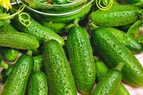 Гуннар 5шт/ Элитные Семена