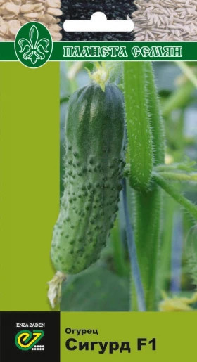 Сигурд 5шт/ Элитные Семена