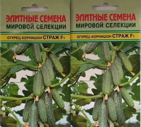 Страж 5шт/ Элитные Семена