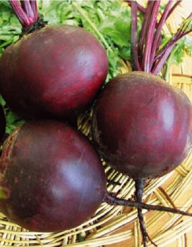 Кестрел 1гр/ Элитные Семена