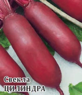 Цилиндра 25 г\Гавриш