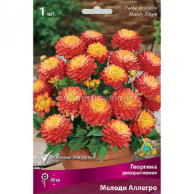 Мелоди Аллегро бордюр. 1шт