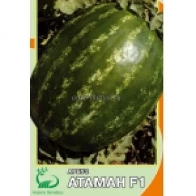 Атаман 5шт/ Элитные семена