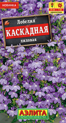 Каскадная лиловая Ц(А)