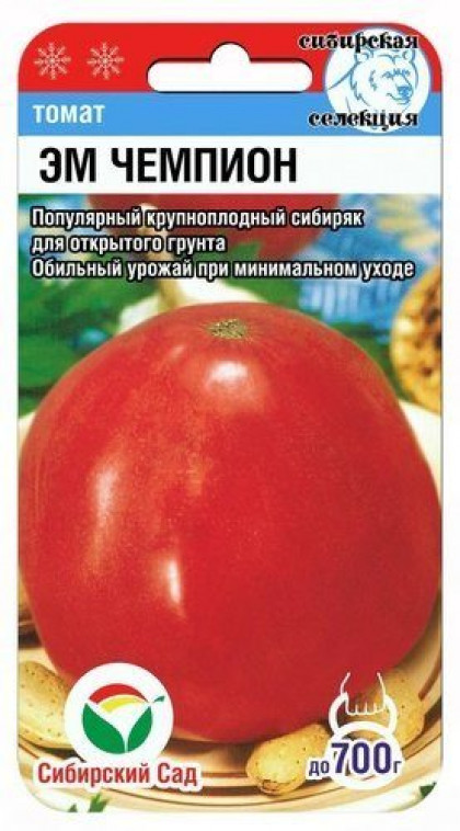 Эм Чемпион СС (Серия ЛС)