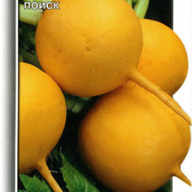 Голден Болл 1 гр.Ц(Поиск)