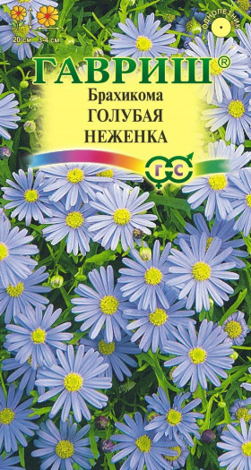 Голубая неженка Ц(Г)