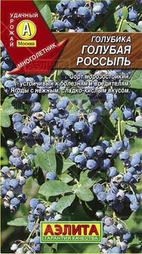 голубика Голубая россыпь Ц(А)