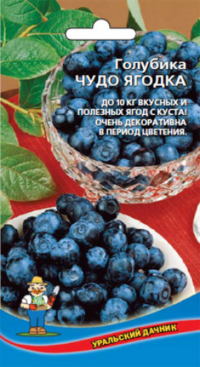 голубика Чудо Ягода крупнопл. Ц(УД)