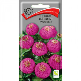 Лиллипут Фиолетовая Ц(Поиск)