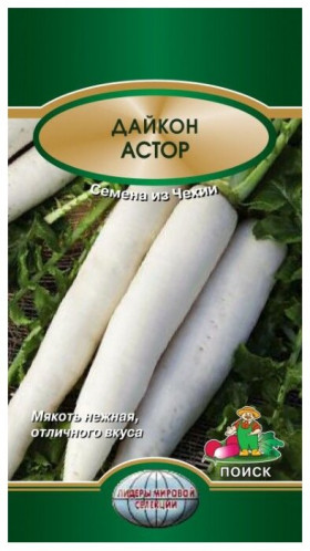 Астор Ц(Поиск)