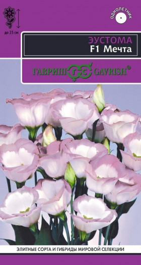 Мечта низкор.горшечная Ц(Г)