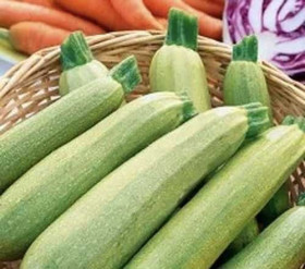 Отто 5шт/Элитные семена