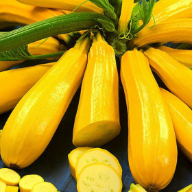 Ясмин 5шт/ Элитные семена