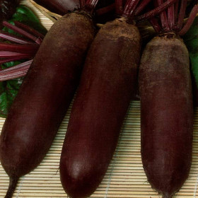 Таунус 1гр/ Элитные семена