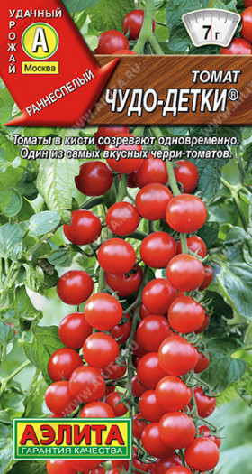 Шеди Леди 10шт/ Элитные семена